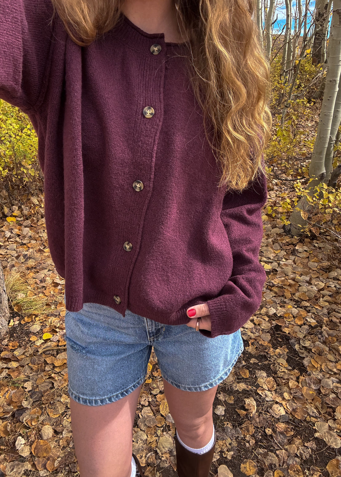 sun dazed denim shorts