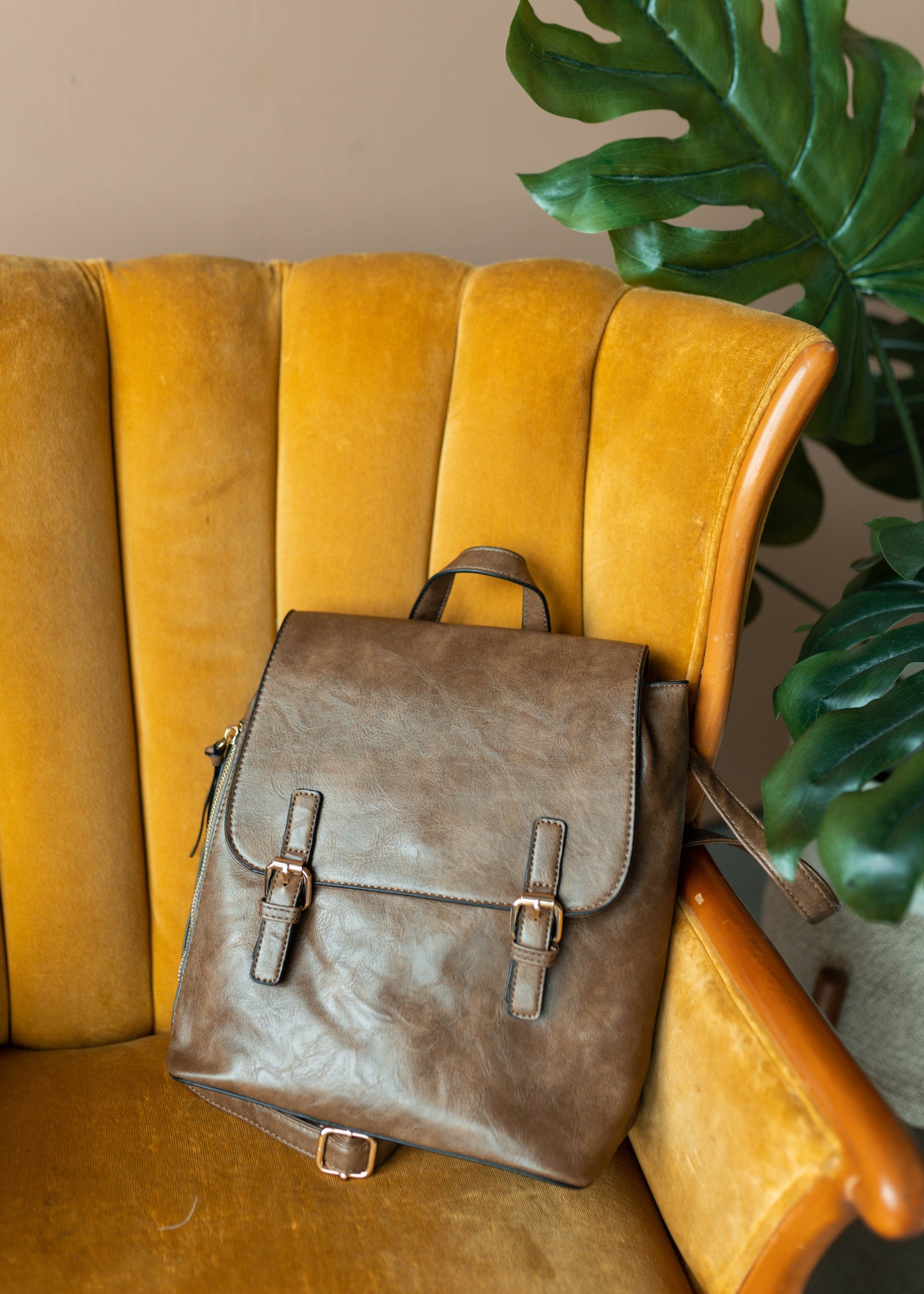 next chapter backpack