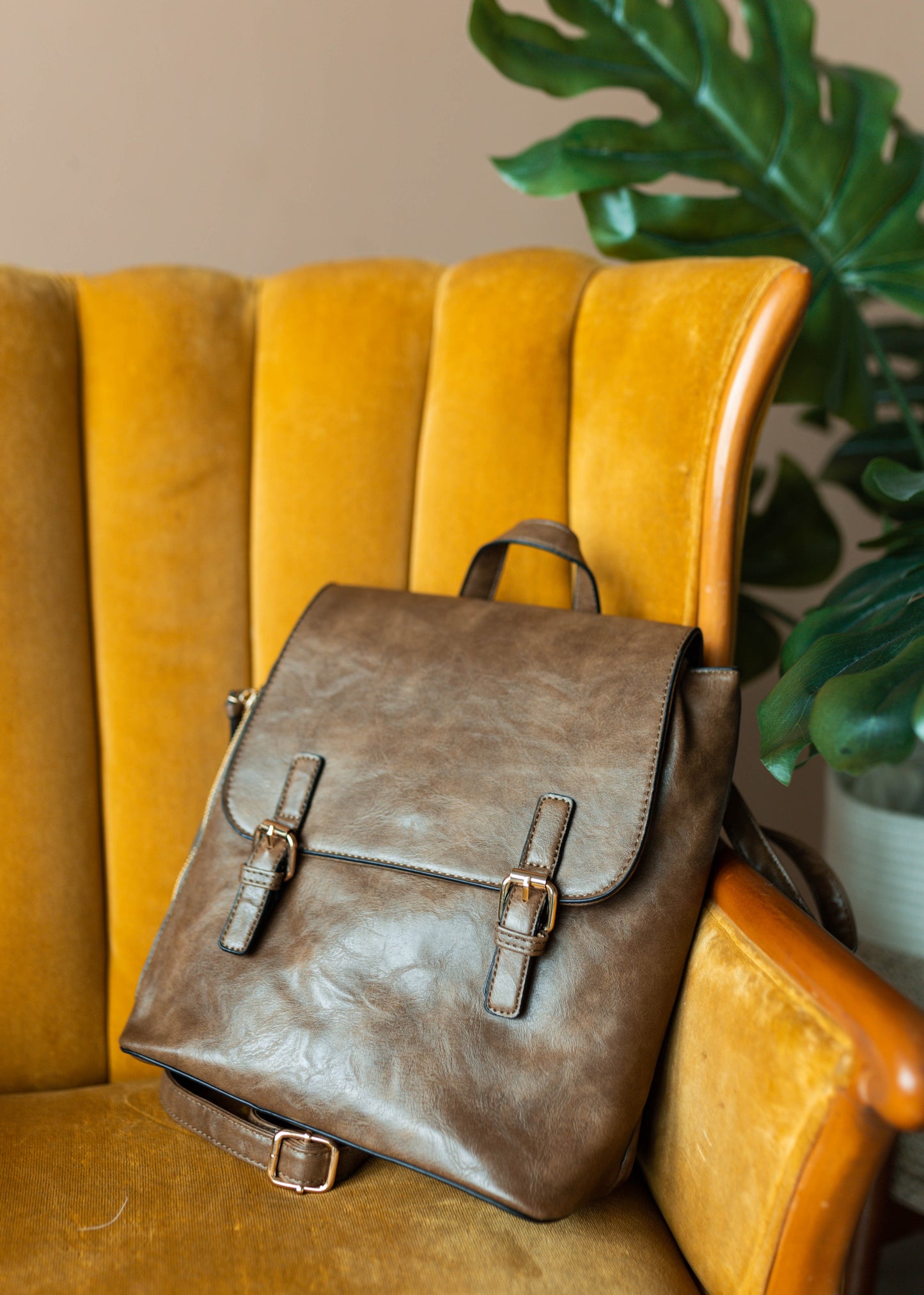 next chapter backpack