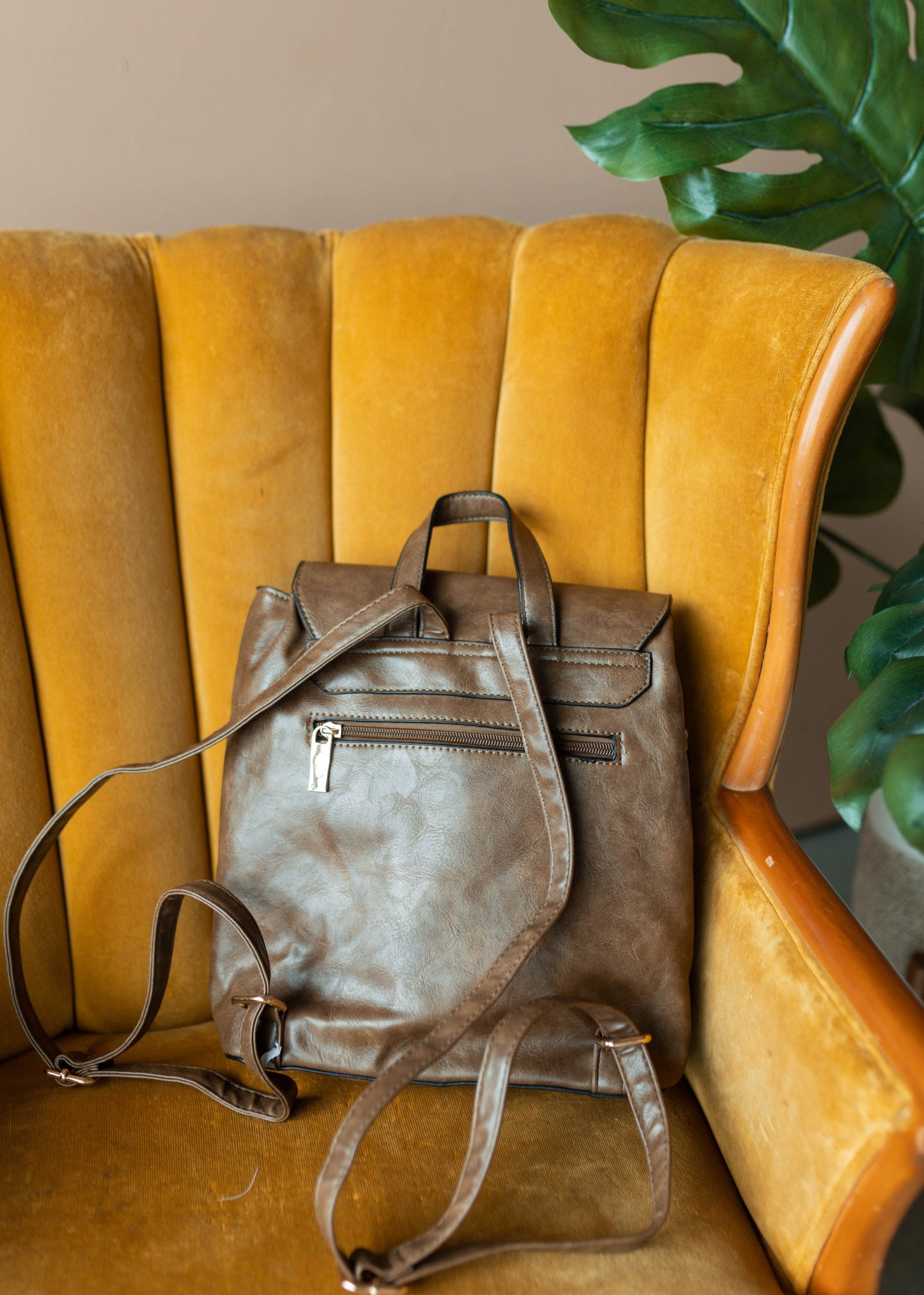 next chapter backpack
