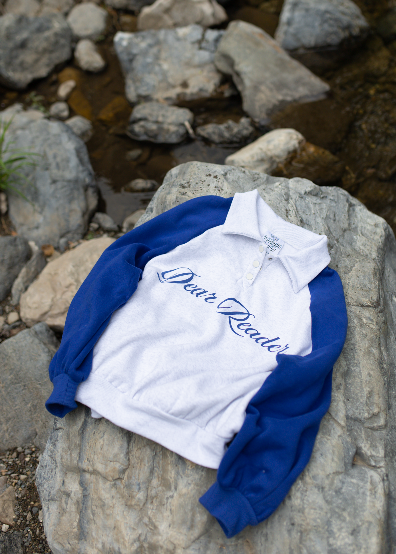 dear reader collar crewneck