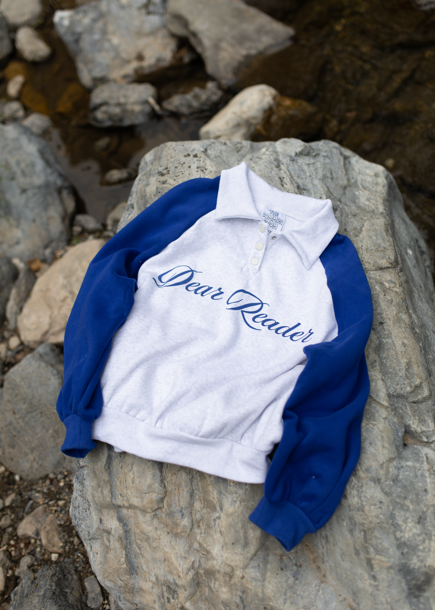 dear reader collar crewneck