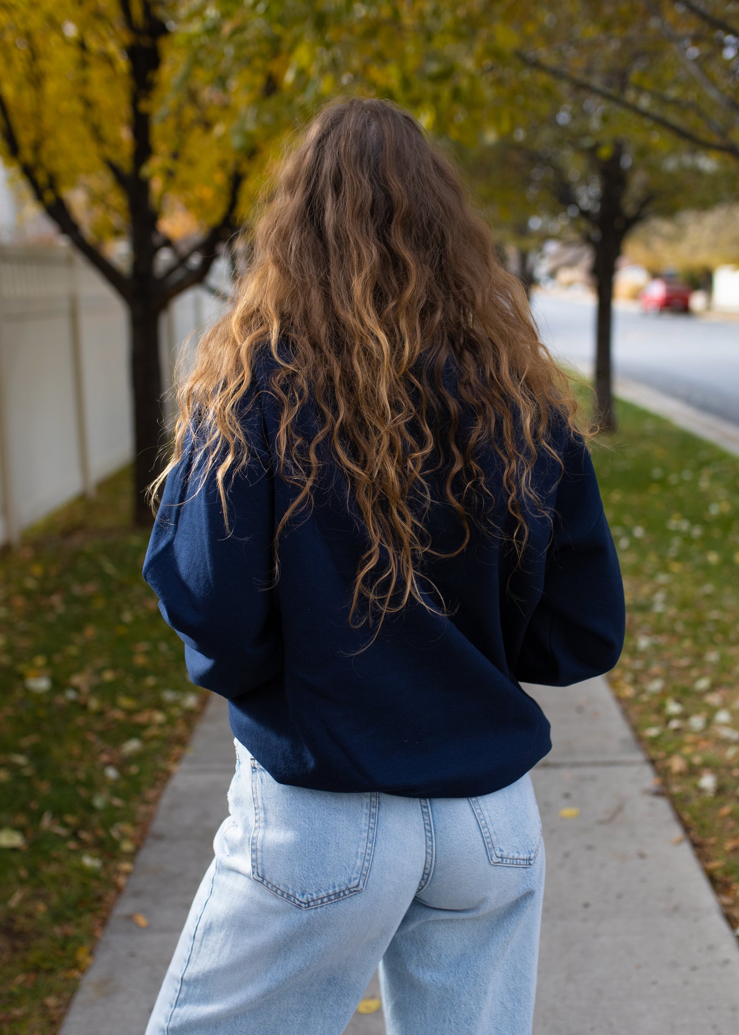 romantasy reader crewneck