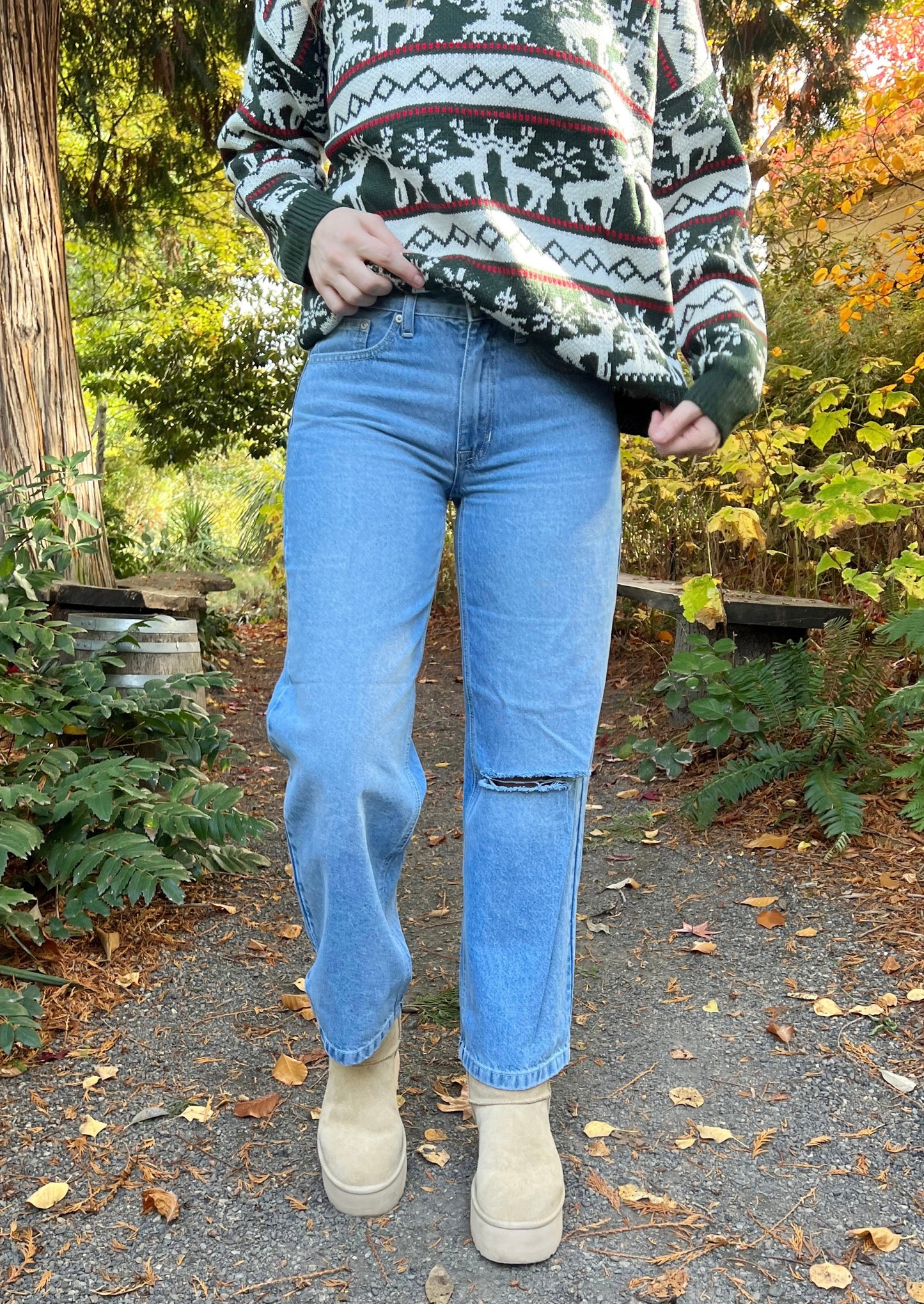 dorthea denim