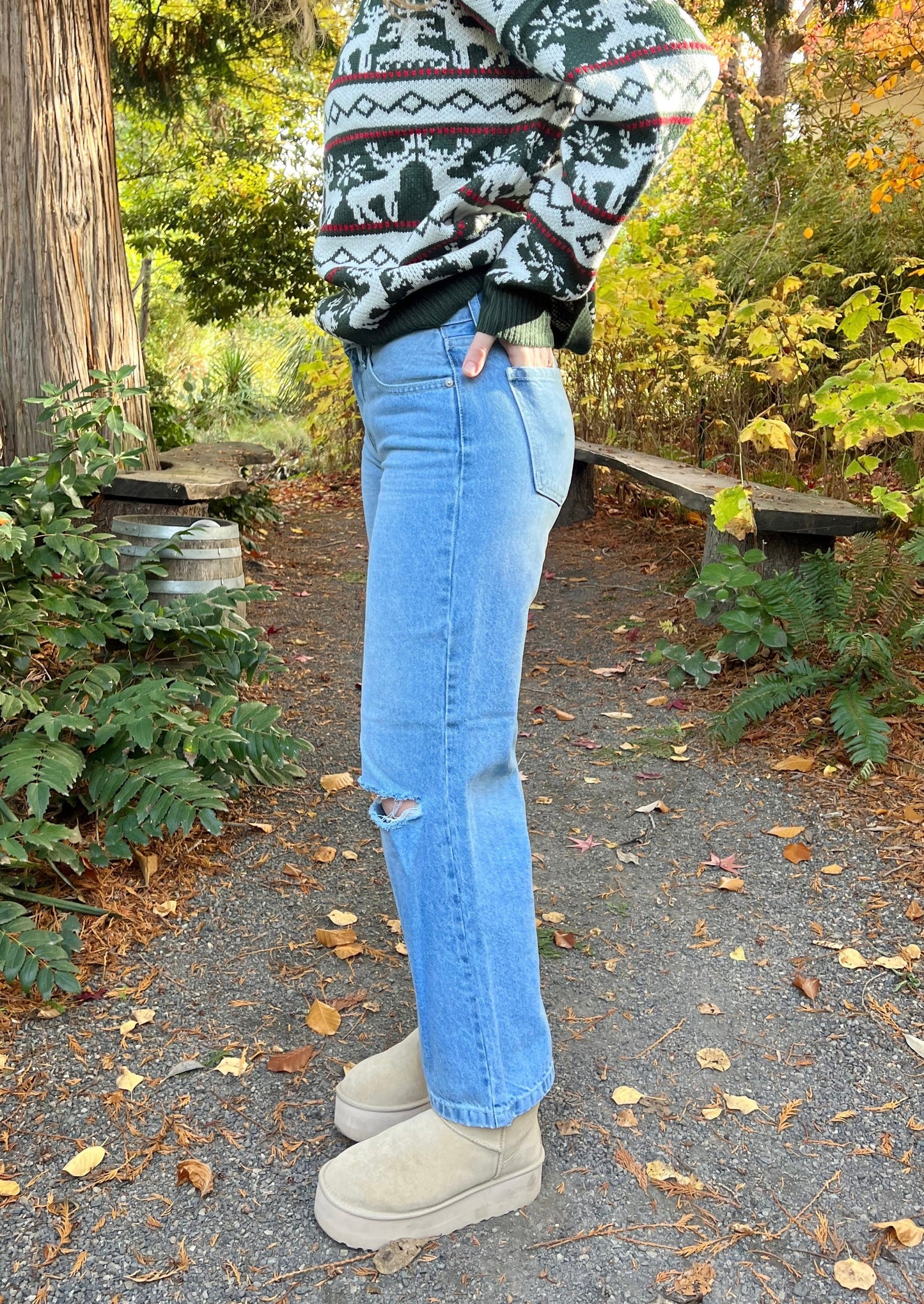 dorthea denim