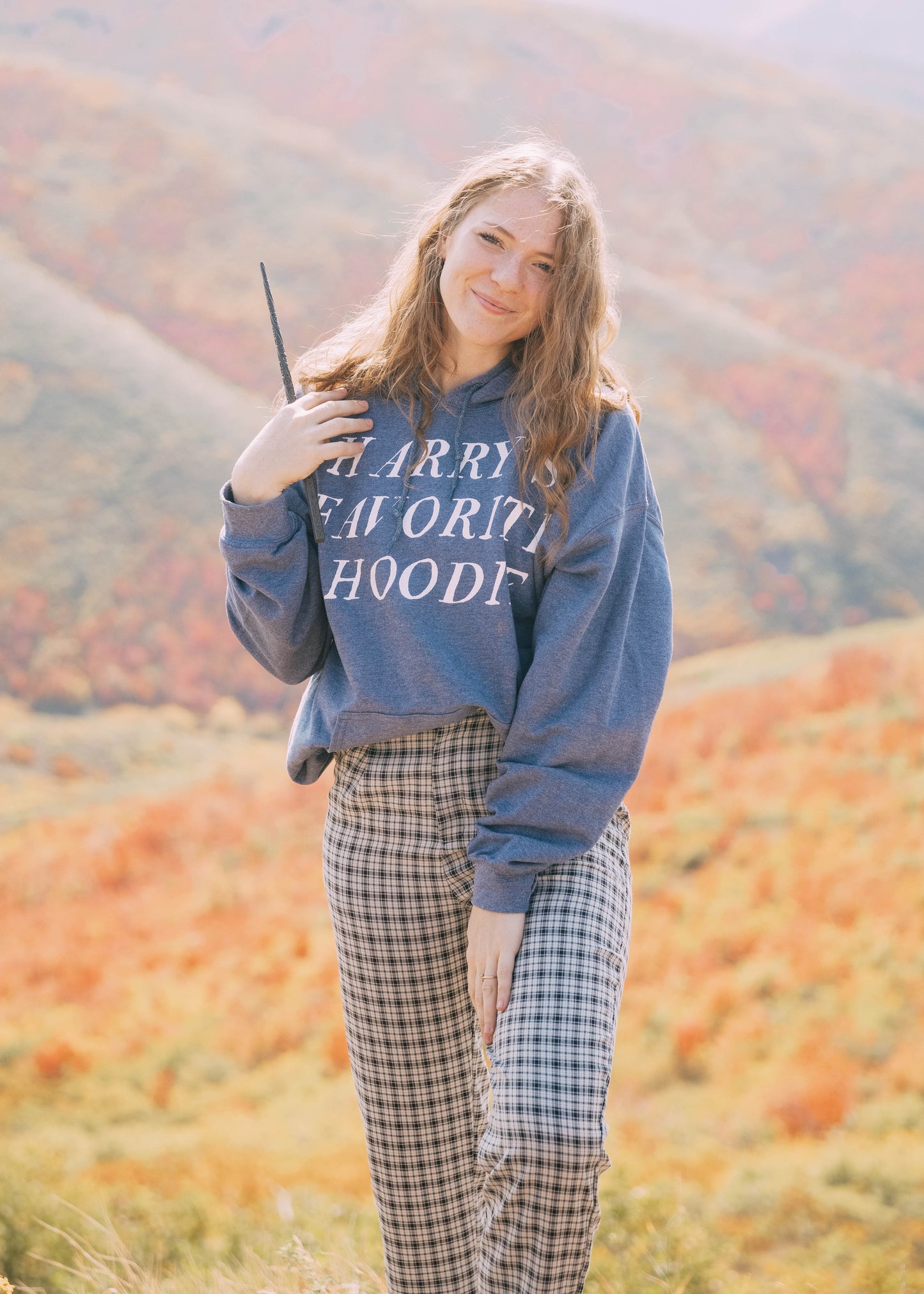 harry hoodie