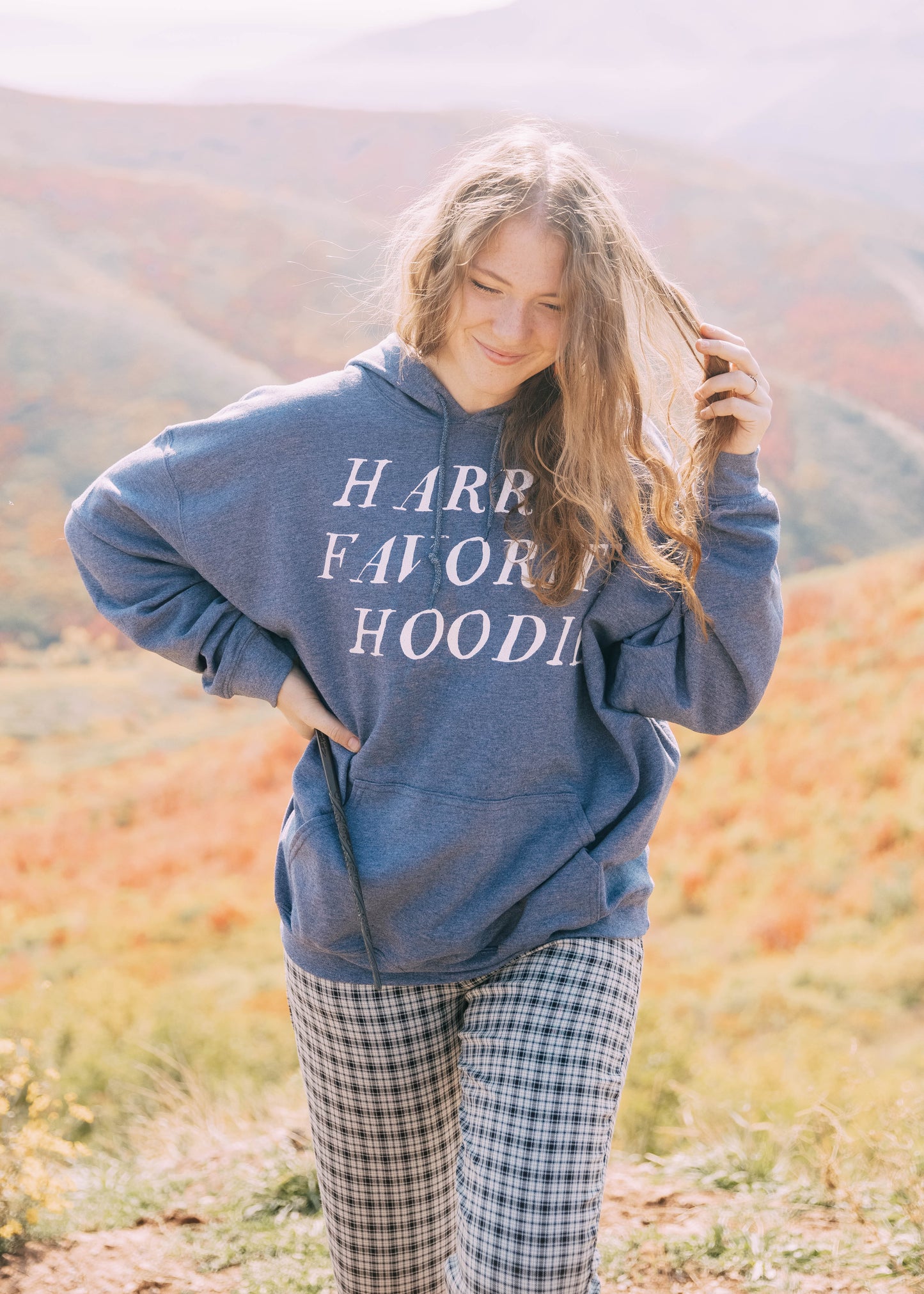 harry hoodie