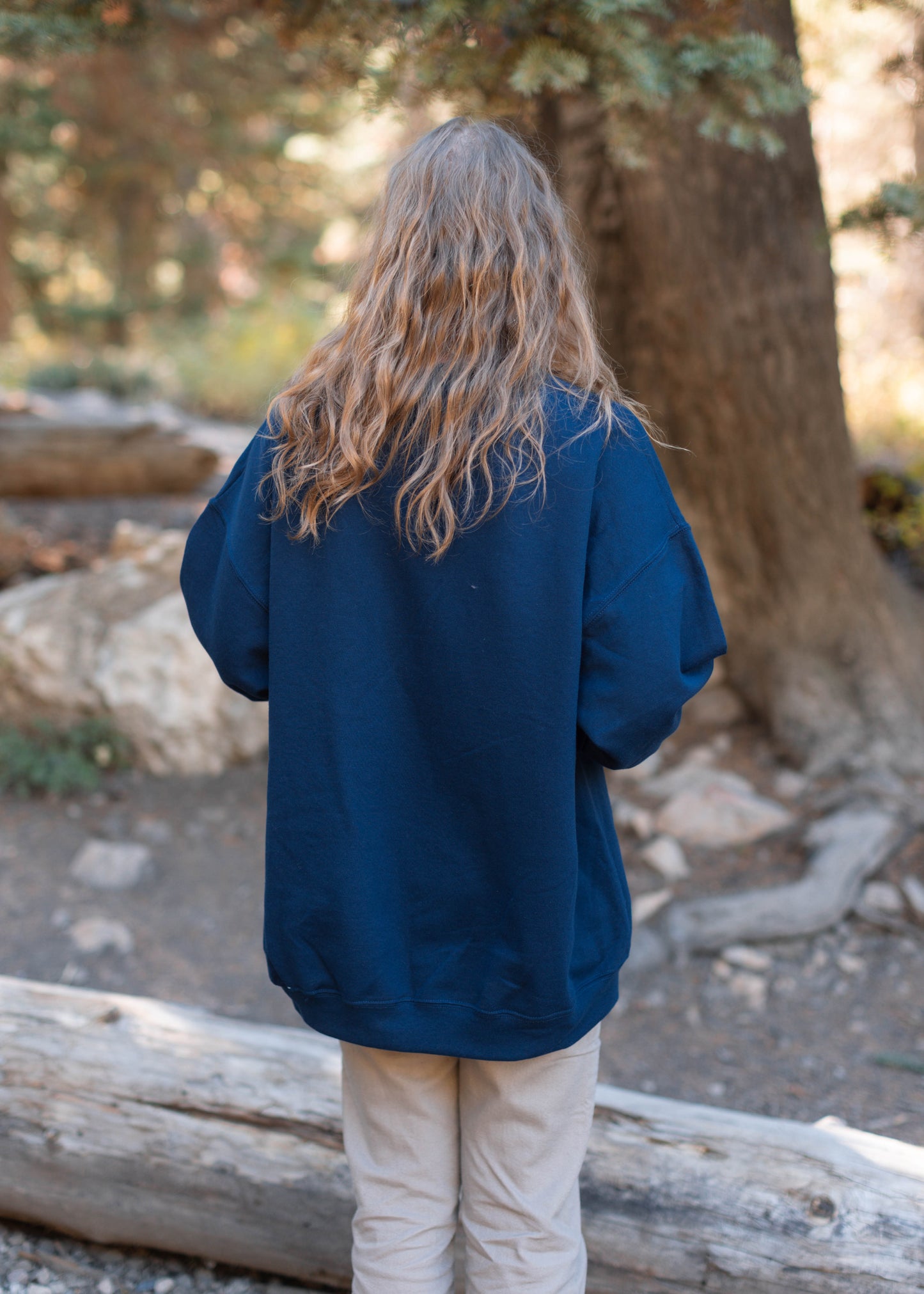 burrow bookstore crewneck in blue