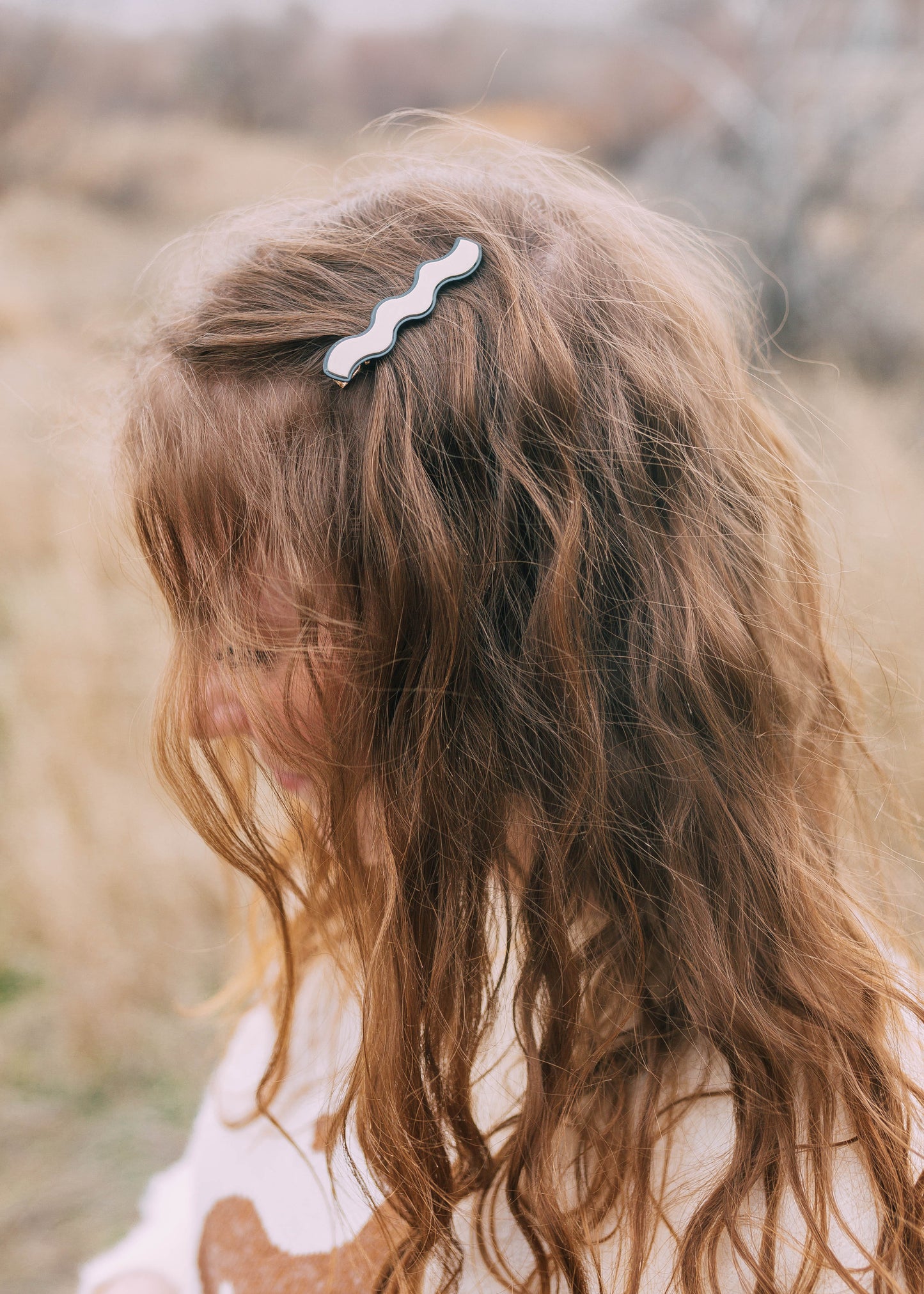 the capitol hair clips