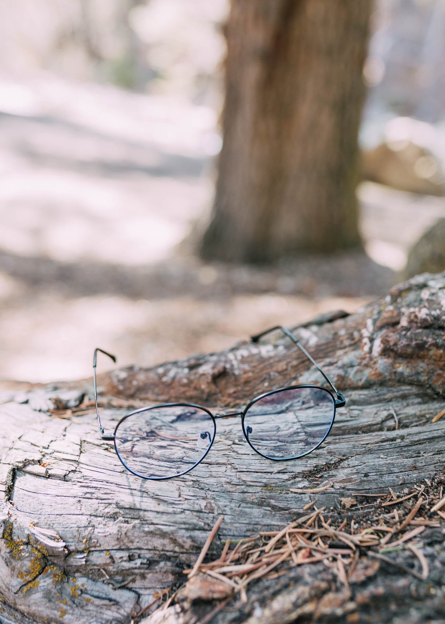 potter boys blue light glasses