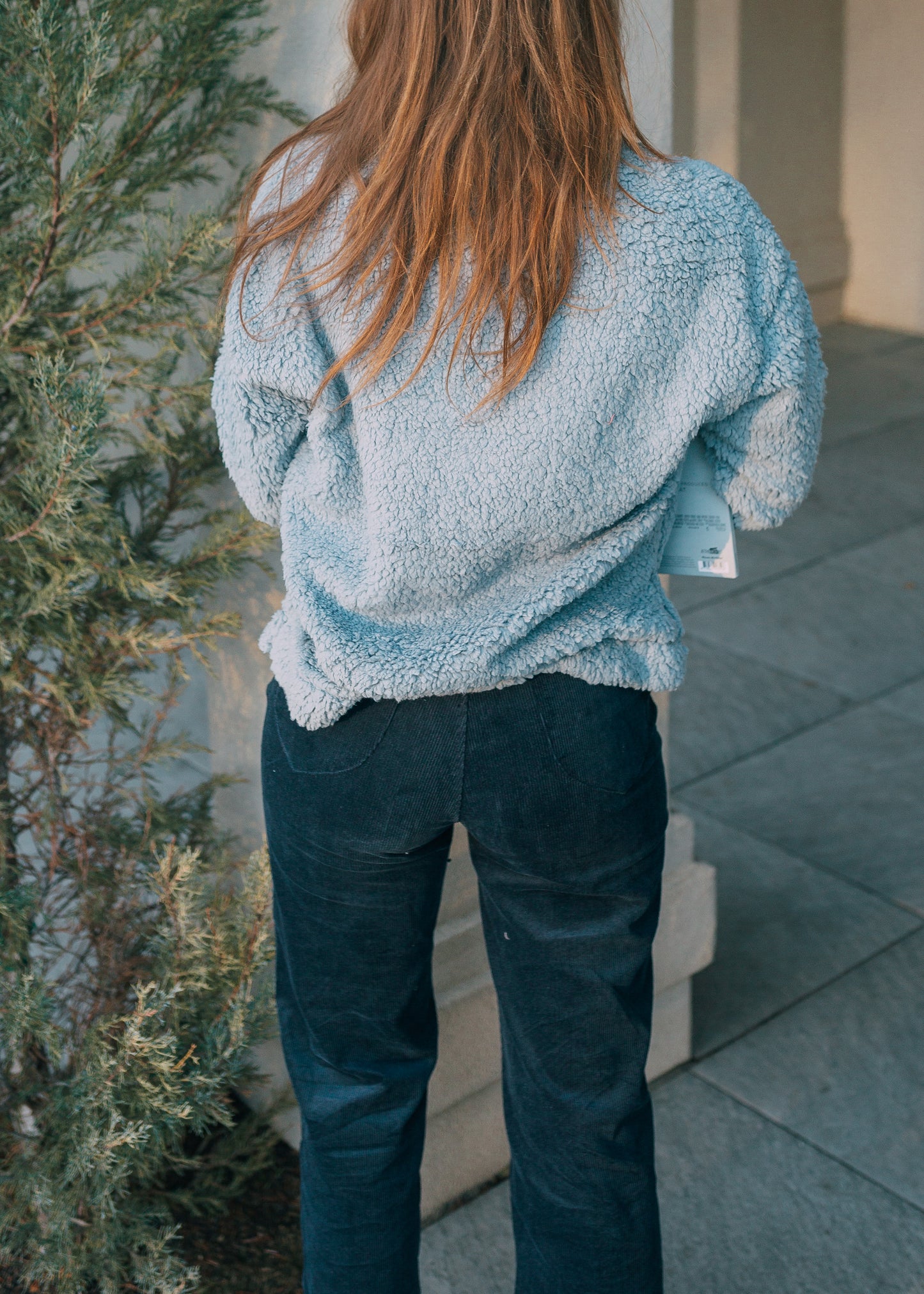 pickwick society sherpa in blue (amy)