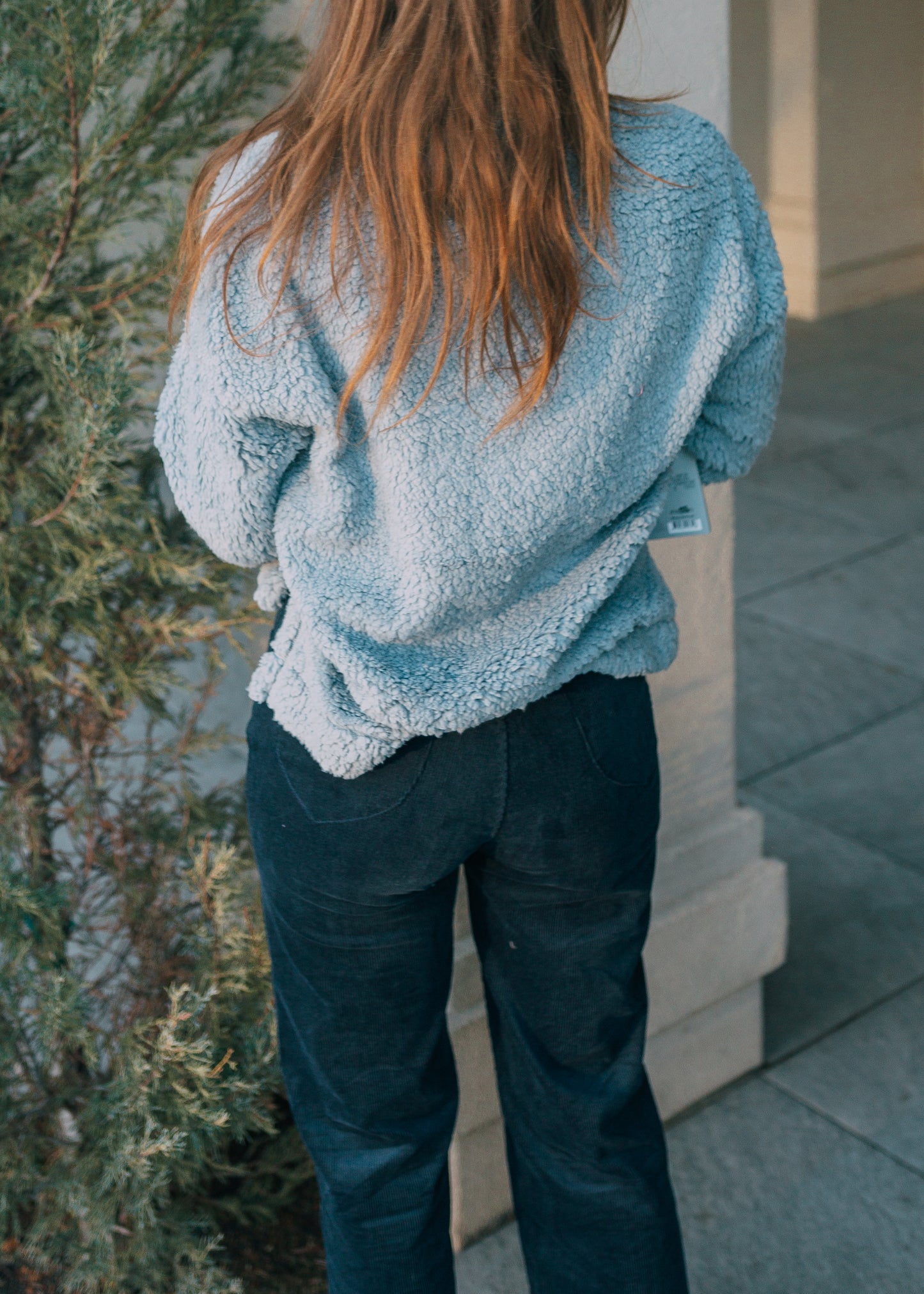 pickwick society sherpa in blue (amy)