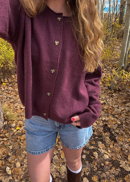 sun dazed denim shorts
