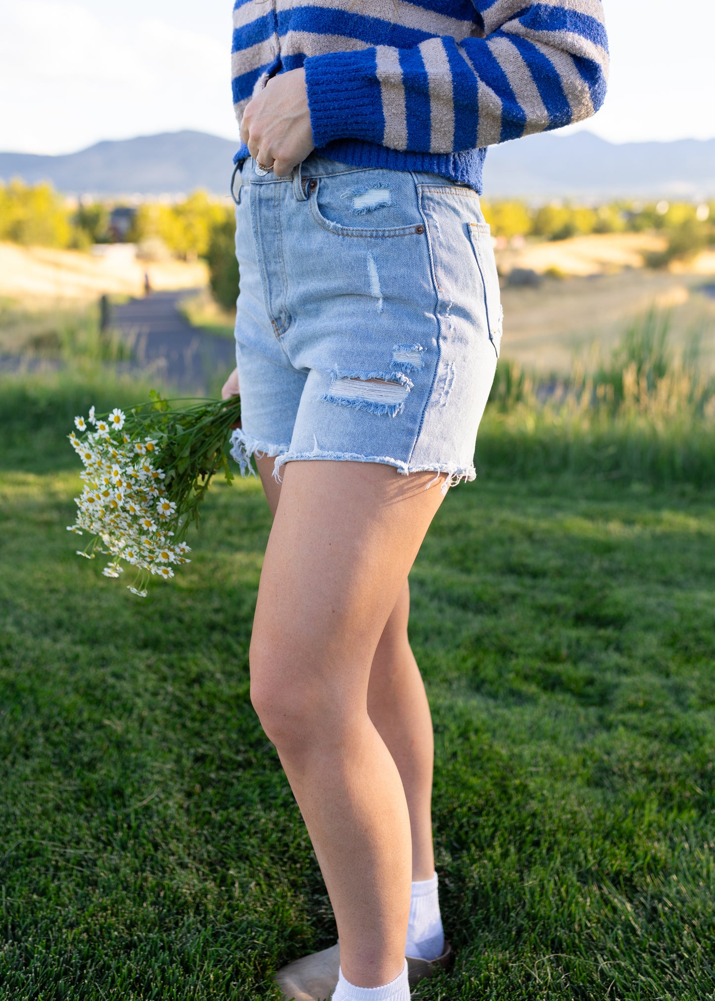 salt air denim shorts