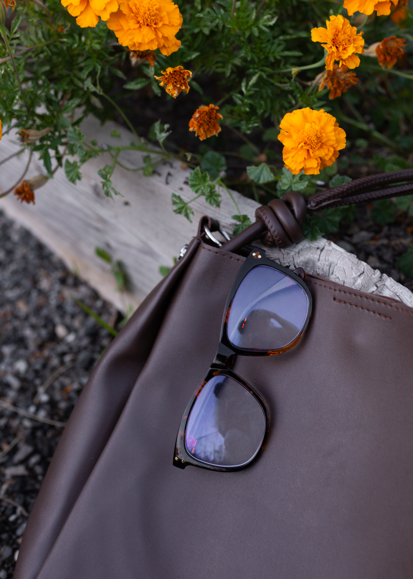 binge read blue light glasses