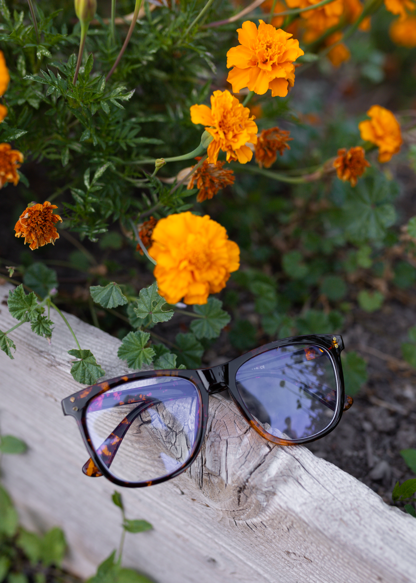 binge read blue light glasses