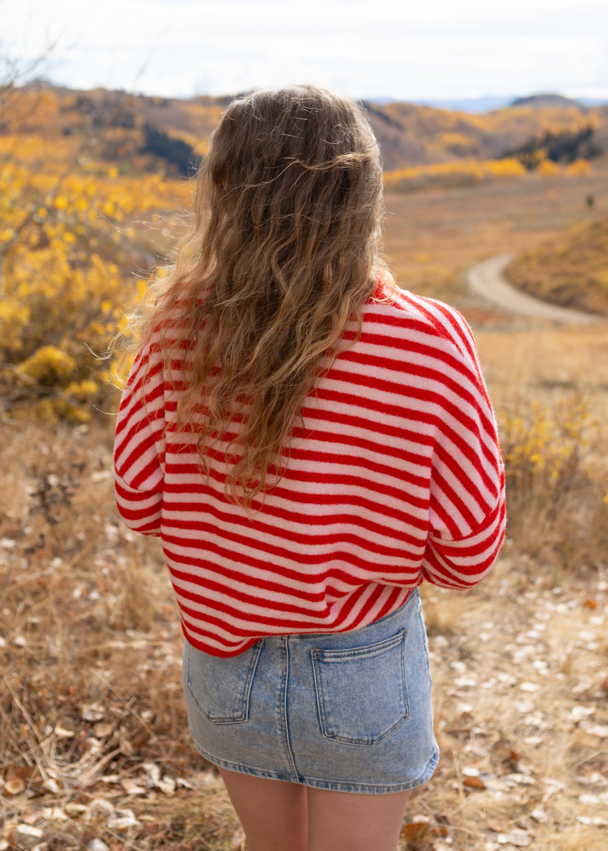 rainy day reader cardigan in pink & red