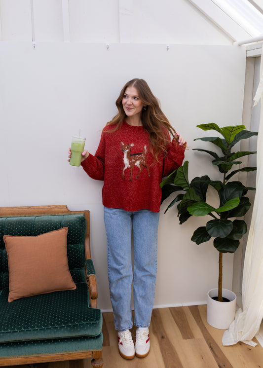 deer reader sweater